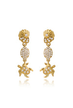 Turtle & shell earrings