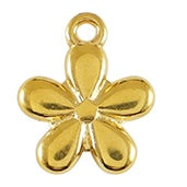 Charm 68