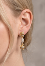 Turtle & shell earrings