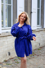 Velvet dress blue